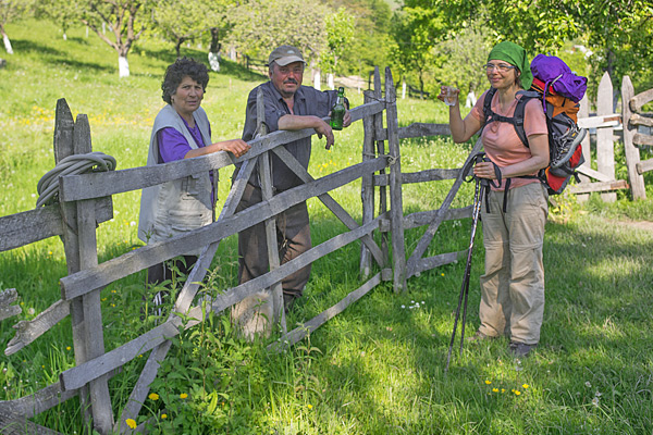 RO2016-143.jpg RO2016-143.jpg