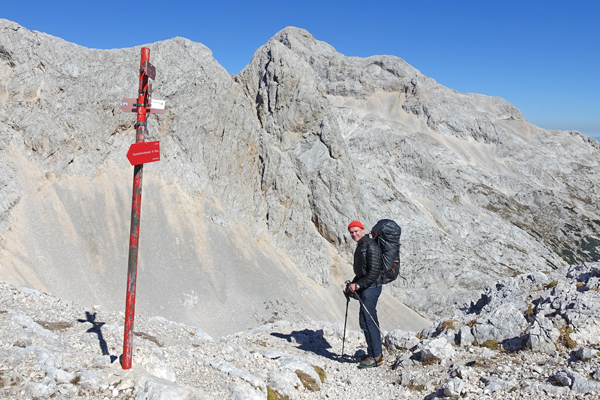 SI2018-A013.jpg SI2018-A013.jpg