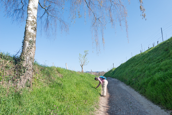 DE2019-256.jpg DE2019-256.jpg