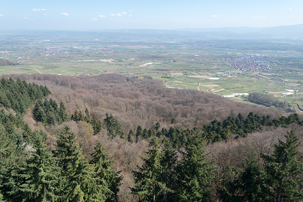 DE2019-282.jpg DE2019-282.jpg