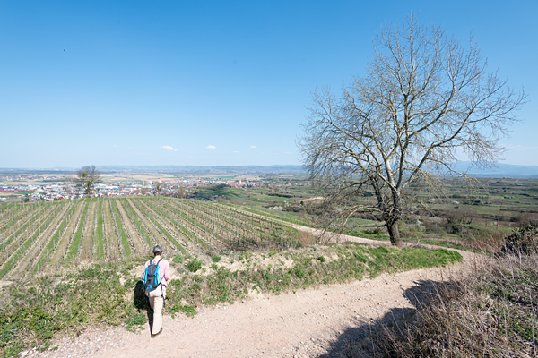 DE2019-293.jpg DE2019-293.jpg