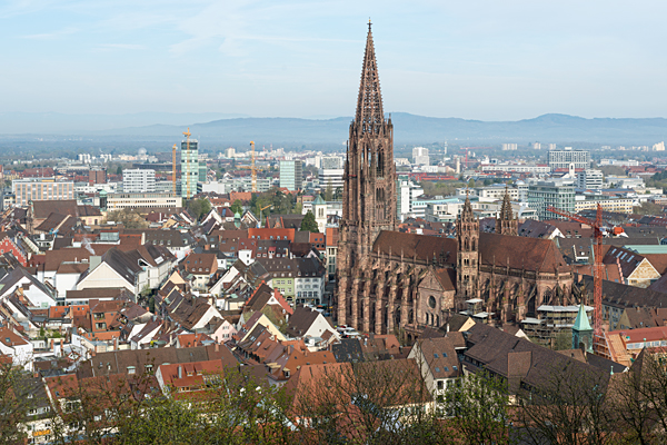 DE2019-300.jpg DE2019-300.jpg