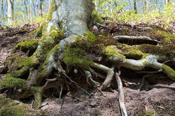 DE2019-Anne-004.jpg DE2019-Anne-004.jpg