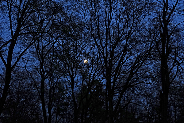 DE2019-Anne-016.jpg DE2019-Anne-016.jpg