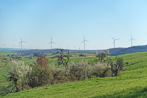 DE2019-Anne-027.jpg DE2019-Anne-027.jpg