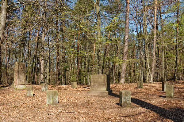 DE2019-Anne-029.jpg DE2019-Anne-029.jpg