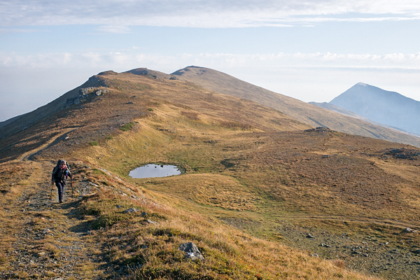 NMK2019-070.jpg NMK2019-070.jpg