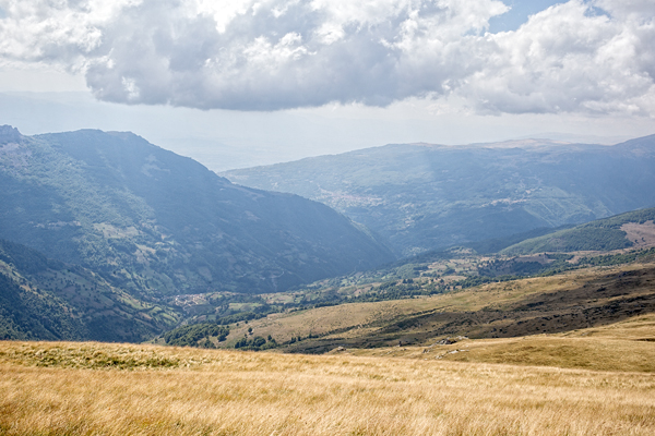 NMK2019-099.jpg NMK2019-099.jpg