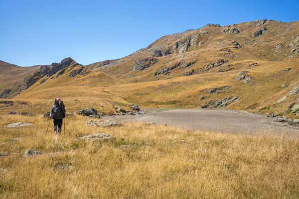 NMK2019-230.jpg NMK2019-230.jpg