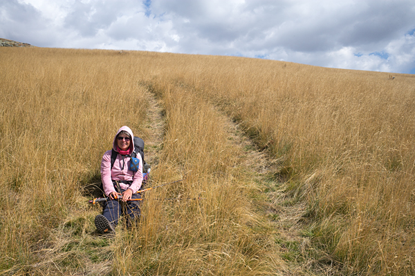 NMK2019-233.jpg NMK2019-233.jpg