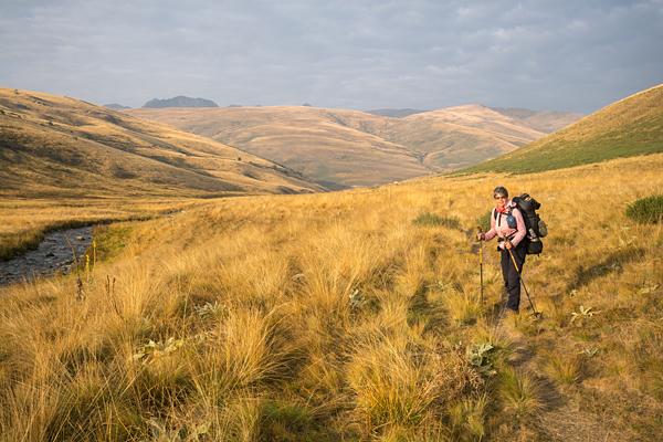 NMK2019-243.jpg NMK2019-243.jpg