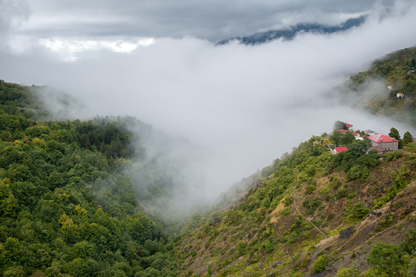 NMK2019-343.jpg NMK2019-343.jpg