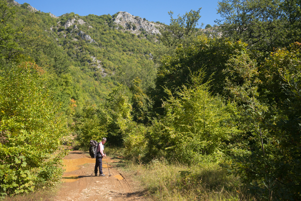 NMK2019-359.jpg NMK2019-359.jpg