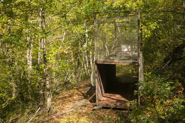 NMK2019-365.jpg NMK2019-365.jpg