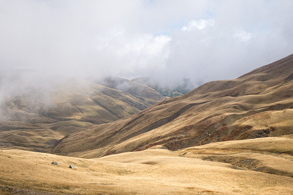 NMK2019-406.jpg NMK2019-406.jpg