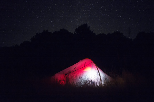 NMK2019-418.jpg NMK2019-418.jpg