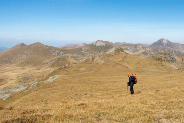 NMK2019-A029.jpg NMK2019-A029.jpg