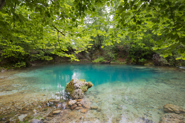 BALKAN2015-0087.jpg BALKAN2015-0087.jpg
