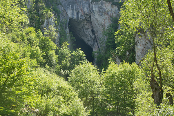 RO2016-111.jpg RO2016-111.jpg