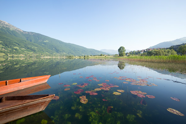 BALKAN2015-0389.jpg BALKAN2015-0389.jpg