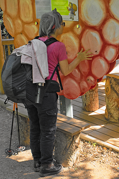 DE2020-0345.jpg DE2020-0345.jpg