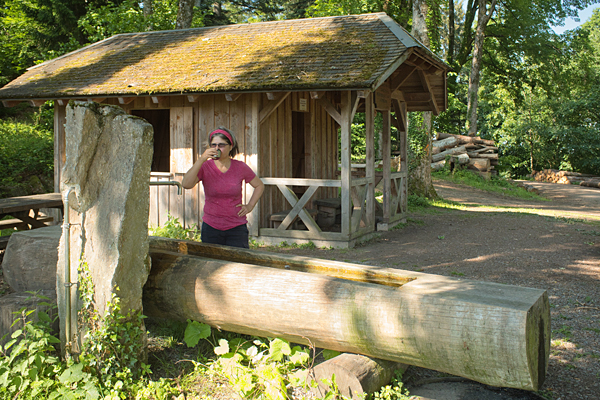 DE2020-0348.jpg DE2020-0348.jpg