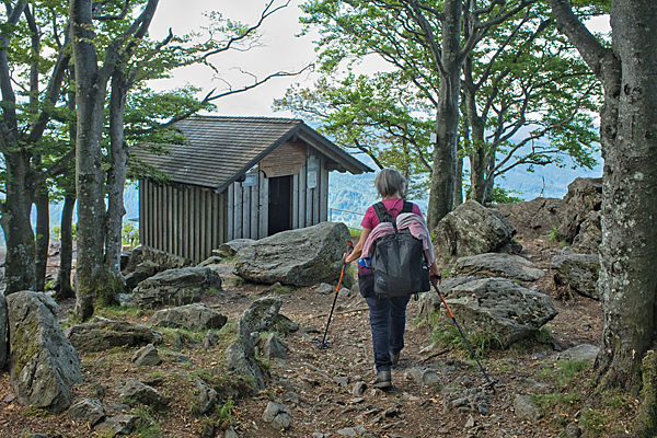 DE2020-0350.jpg DE2020-0350.jpg