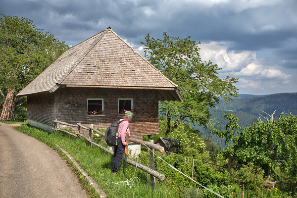 DE2020-0364.jpg DE2020-0364.jpg