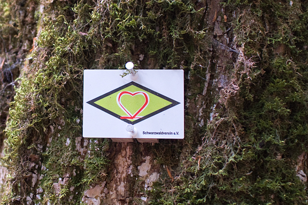 DE2020-0377.jpg DE2020-0377.jpg