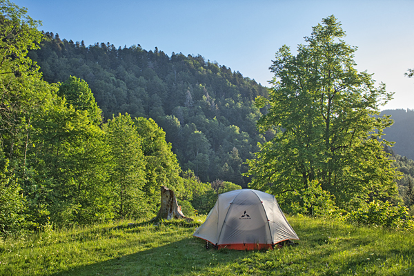 DE2020-0388.jpg DE2020-0388.jpg