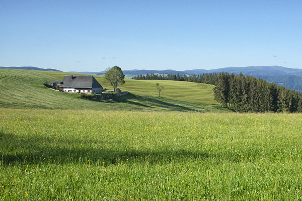 DE2020-0401.jpg DE2020-0401.jpg