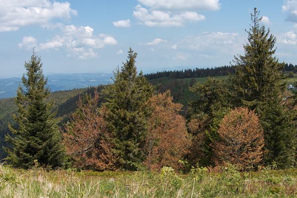 DE2020-Anne-023.jpg DE2020-Anne-023.jpg