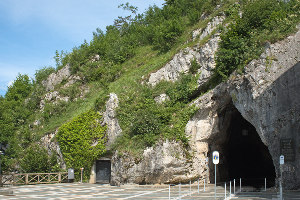 SI2020-0004.jpg SI2020-0004.jpg