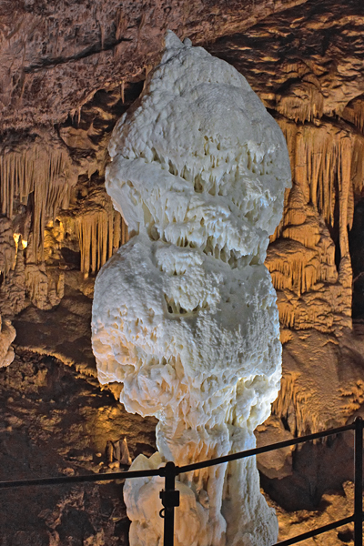 SI2020-0025.jpg SI2020-0025.jpg