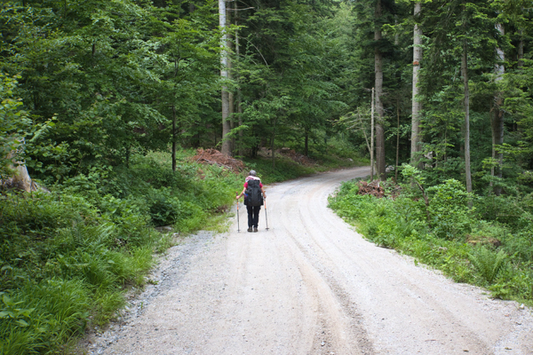 SI2020-0034.jpg SI2020-0034.jpg