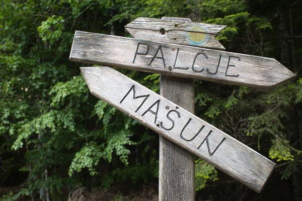 SI2020-0039.jpg SI2020-0039.jpg