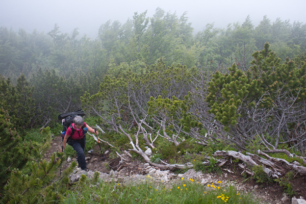 SI2020-0045.jpg SI2020-0045.jpg