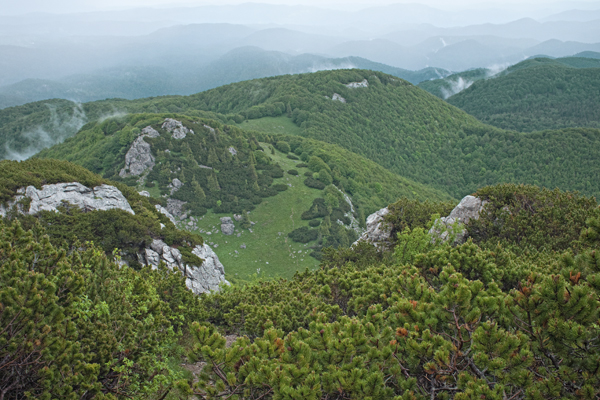 SI2020-0051.jpg SI2020-0051.jpg