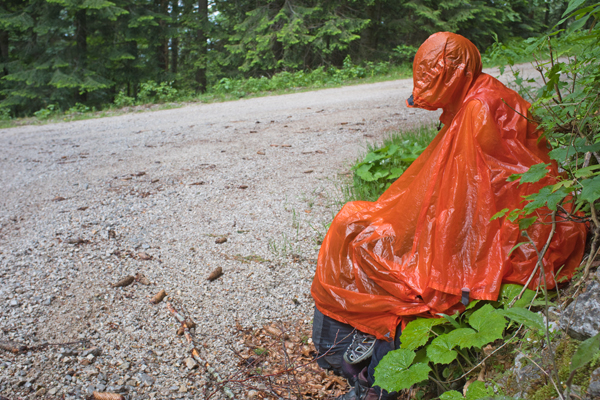 SI2020-0056.jpg SI2020-0056.jpg