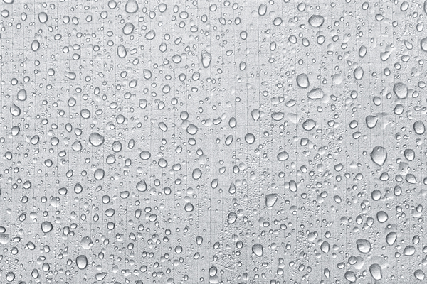 SI2020-0061.jpg SI2020-0061.jpg