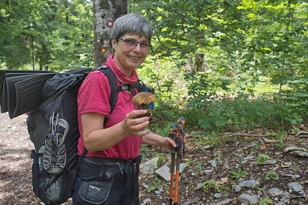 SI2020-0068.jpg SI2020-0068.jpg