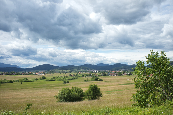 SI2020-0073.jpg SI2020-0073.jpg