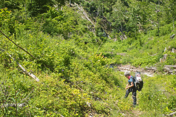 HR2020-0017.jpg HR2020-0017.jpg