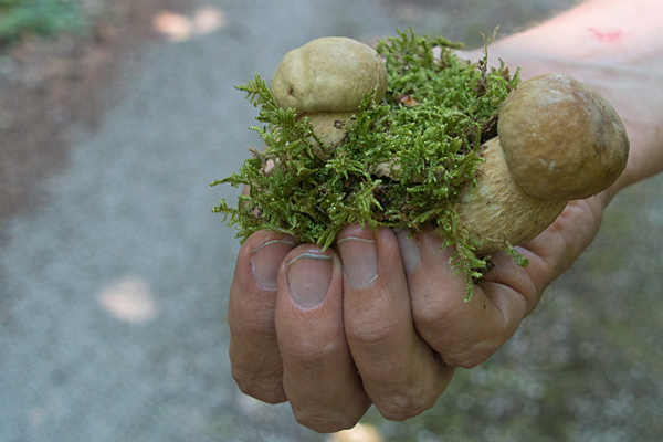 HR2020-A0007.jpg HR2020-A0007.jpg