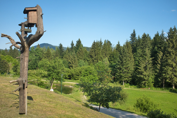 HR2020-0048.jpg HR2020-0048.jpg