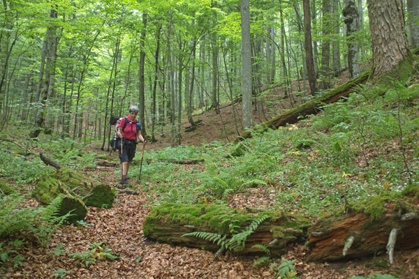 HR2020-0072.jpg HR2020-0072.jpg