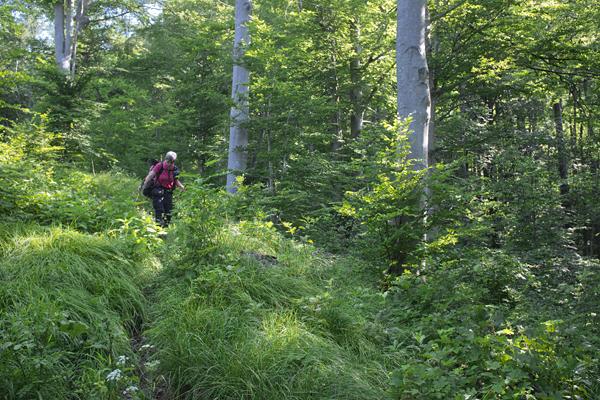 HR2020-0081.jpg HR2020-0081.jpg