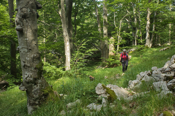 HR2020-0085.jpg HR2020-0085.jpg