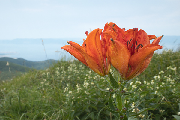 HR2020-0092.jpg HR2020-0092.jpg