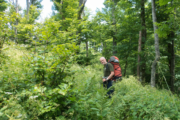 HR2020-A0014.jpg HR2020-A0014.jpg